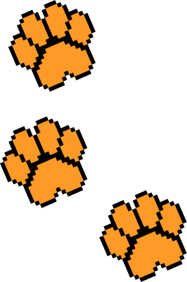 Лапки